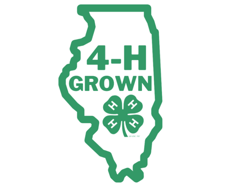 Logo for 2026 Champaign County Fair