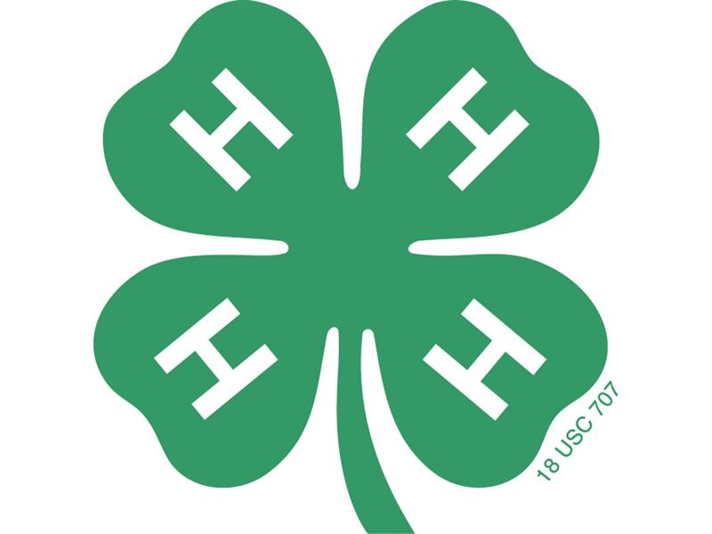Logo for 2026 Sheridan County 4-H Fair